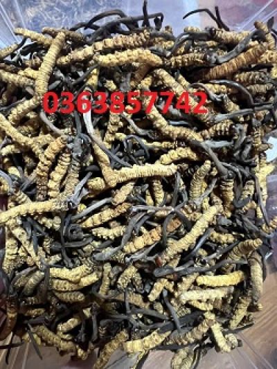 'Góc khuất' viện dưỡng lão