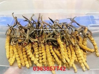 Giảm 16 kg trong ba tháng