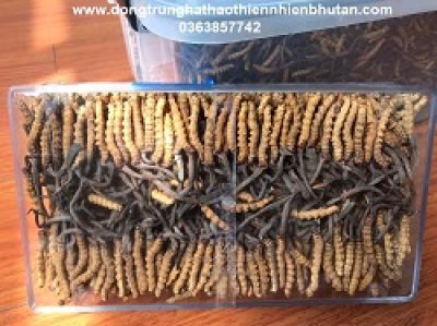 Những món ăn ngày Tết không tốt cho bà bầu