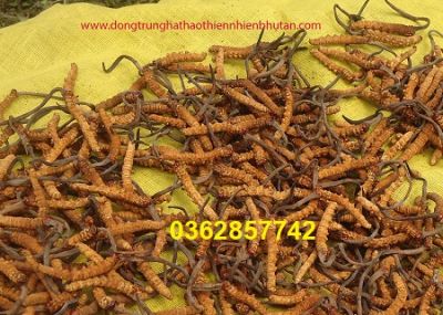 V&igrave; sao phụ nữ dễ tăng c&acirc;n sau tuổi 50?