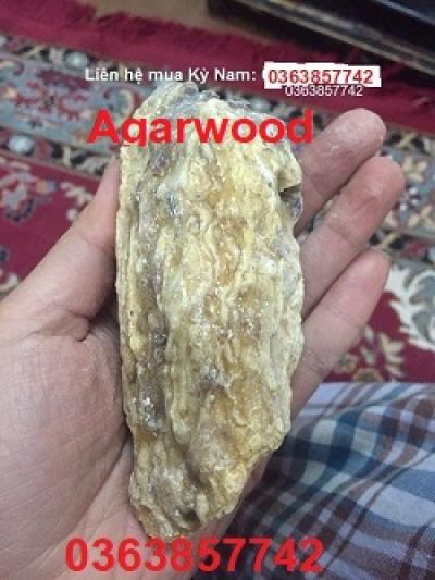 Trầm Hương