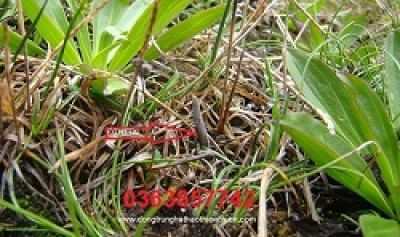 Chuyên gia Trung Quốc: &#039;Hạ tuổi sinh xuống 18 để giải phóng tiềm năng sinh sản&#039;