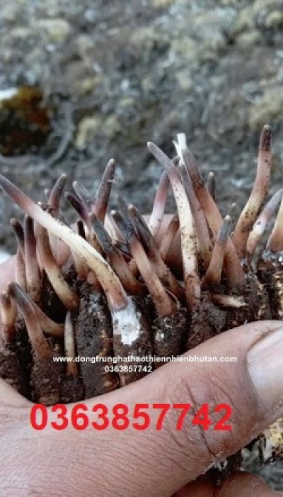 6 th&oacute;i quen h&agrave;ng ng&agrave;y gi&uacute;p minh mẫn, năng động khi về gi&agrave;