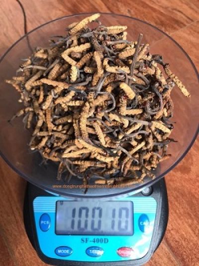 Quy tắc ăn giúp người Nhật sống trường thọ
