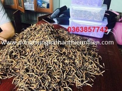 Hút dịch màng phổi cứu bào thai 24 tuần