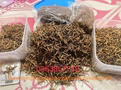 Uống 6 chai nước dinh dưỡng mỗi ngày để siết eo, giảm mỡ